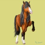 �� ���� Vikarus http://www.equestrian.ru/my/2260/photos/195298