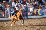 Caldwell Night Rodeo