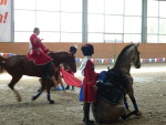 2010�.