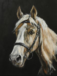30x40cm holst, aklril