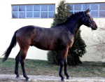 170 ��, 2008