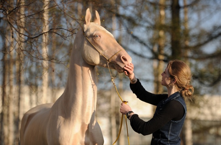 http://www.equestrian.ru/photos/user_photo/2011/c2093d4e.jpg