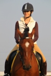 http://horse-way.ru/