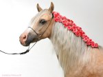 �������� ������ �����. ������ � ������������.����� �� �������.��� ���� http://mini-pony.ru/