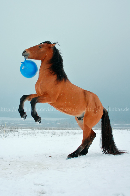 Play ball (by Nadin_S) :)))