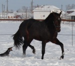����� (������ - ��������) 2010 �.�.