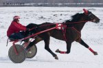 �.�.�. 2003 (Viking,s Way � Java Bleue) - ������-�������� ������� �����