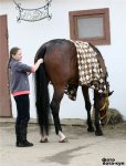 ��� ��������� 21.04.12