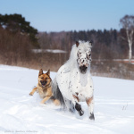 www.kskverona.ru
