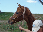 �����-����������