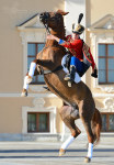 ����������� � ���������������� ������ 19.05.2012