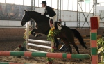 ������ � ��� ���� 28.01.2012�. � �� ����� 100��.