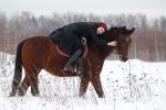 �������� ������� �������� http://photo-hq.ru/