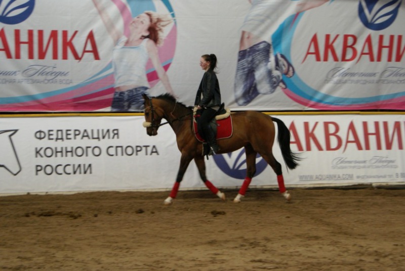 Конкурс федерация конного спорта россии Конкурс федерация конного спорта россии