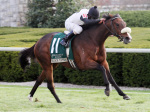 Ипподром Keeneland 2009 год, скачка Rood and Riddle Dowager Stakes