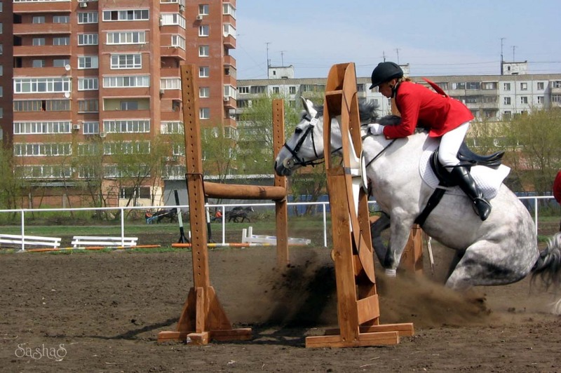 http://www.equestrian.ru/photos/user_photos/a_0740a3.jpg