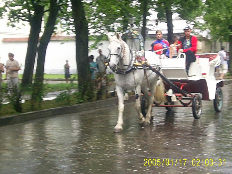http://www.equestrian.ru/photos/user_photos/a_159977.jpg