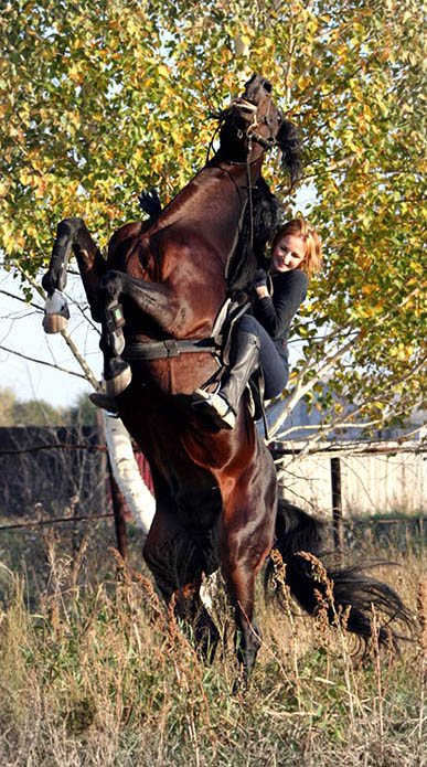 http://www.equestrian.ru/photos/user_photos/a_22ee1f.jpg