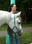 �� �������� 2006