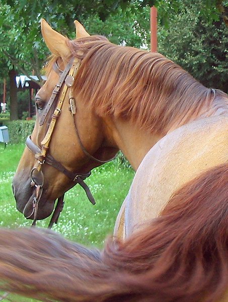 a_57684c.jpg