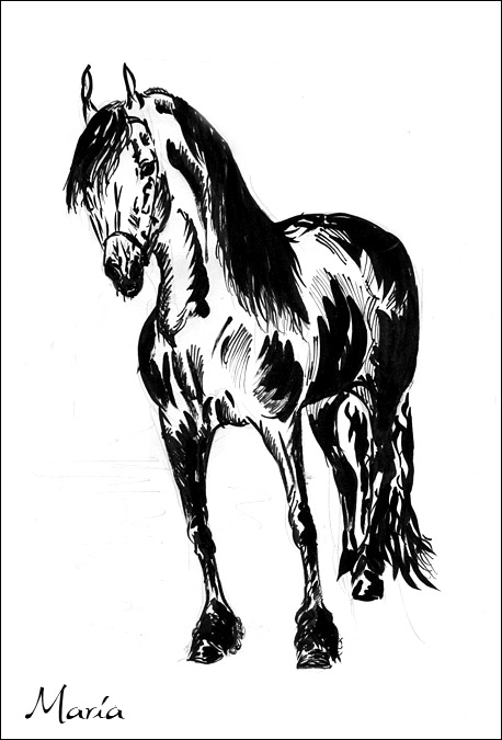 a_5e646f.jpg