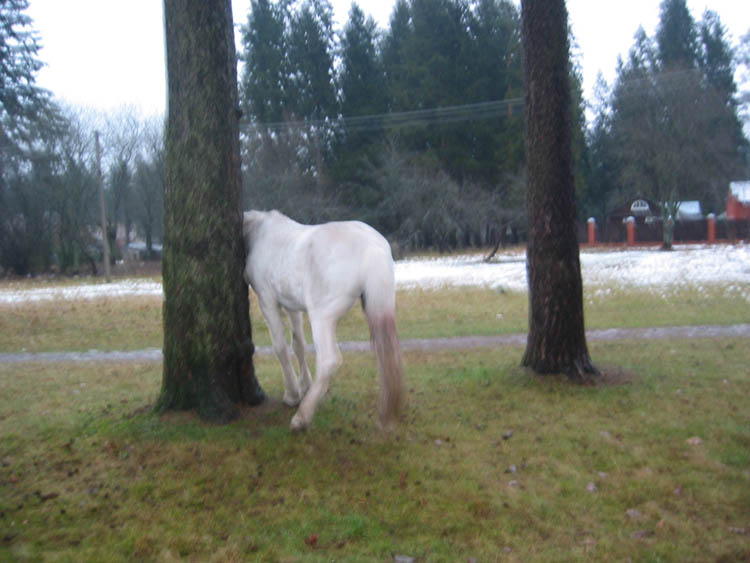 a_732715.jpg