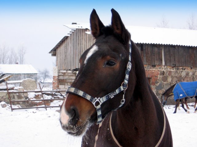a_750295.jpg
