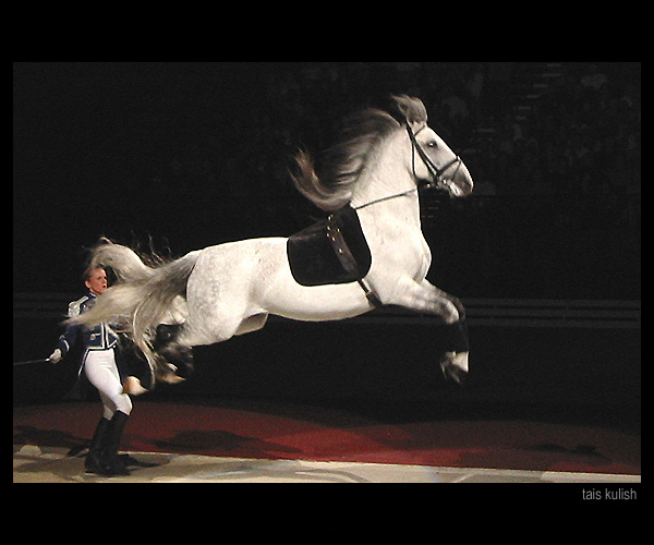 http://www.equestrian.ru/photos/user_photos/a_9842b1.jpg