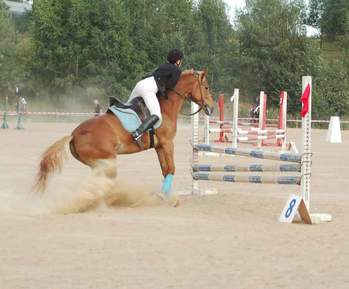 http://www.equestrian.ru/photos/user_photos/a_ac5ac2.jpg