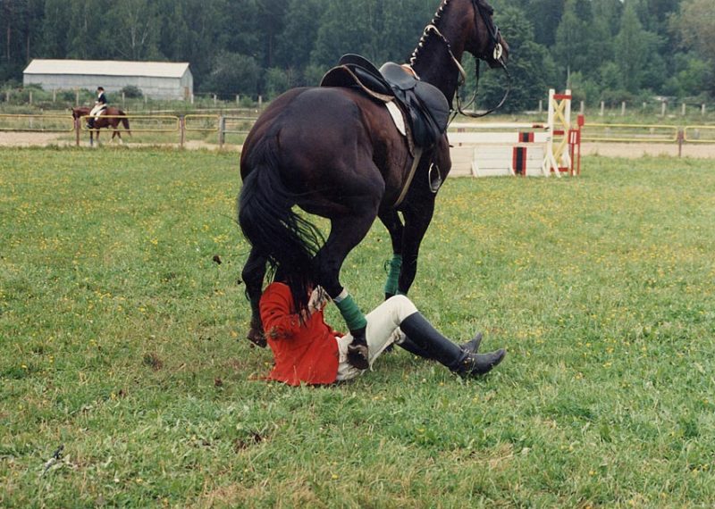 http://www.equestrian.ru/photos/user_photos/a_be4e3e.jpg