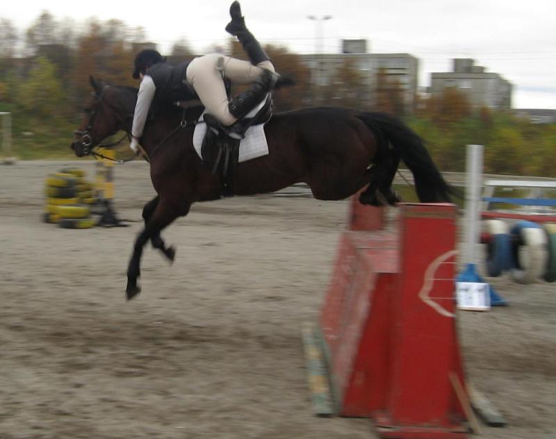 http://www.equestrian.ru/photos/user_photos/a_cae0f2.jpg