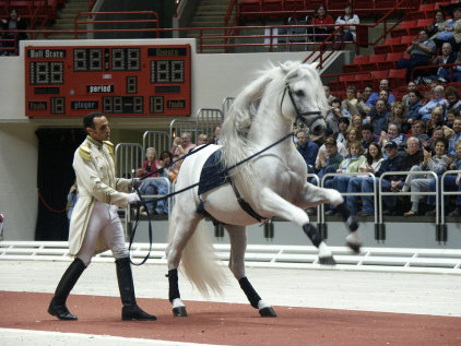 http://www.equestrian.ru/photos/user_photos/a_cb642a.jpg