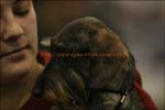 IMG_1901