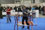 IMG_1951