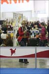 IMG_1970