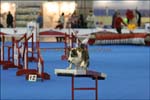IMG_1978