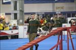 IMG_1979