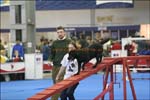 IMG_1981