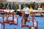 IMG_1988