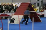 IMG_1996