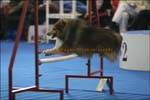 IMG_2014