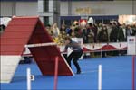 IMG_2063