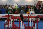 IMG_2064