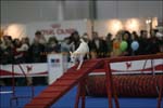 IMG_2071
