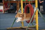 IMG_0033