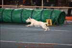 IMG_0075