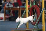 IMG_0090