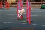IMG_0119