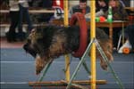 IMG_0150