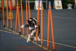 IMG_0189